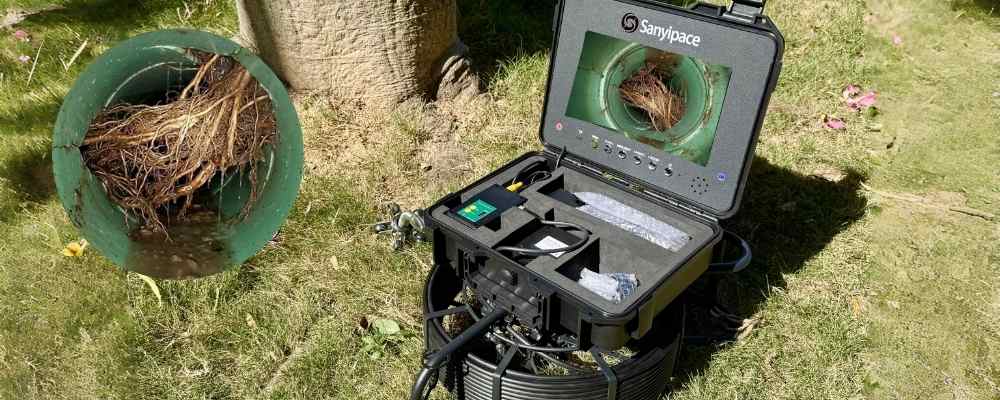 How Tree Roots Actually Get Into Your Sewer Line (And How to Check Early)？